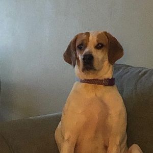 Meet your Posher, Steve